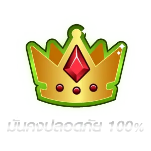 icon300X300มั่นคงปลอดภัย